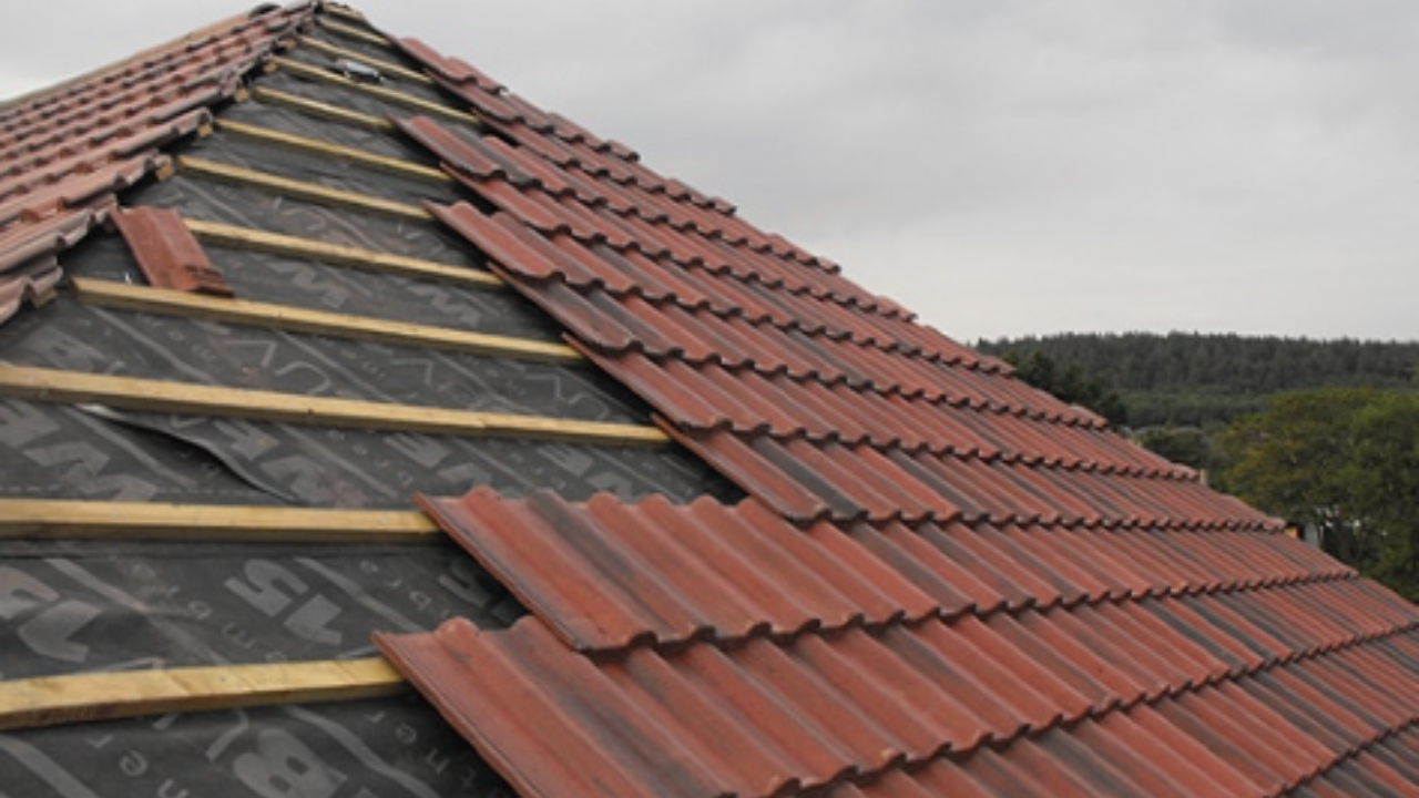 DB Roofing and Building Maintenance: Whitley Bay’s Trusted Roofing Experts